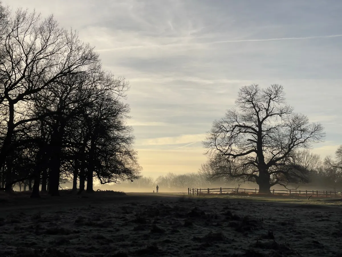 London Fog in Autumn: Why the City Gets Misty Mornings