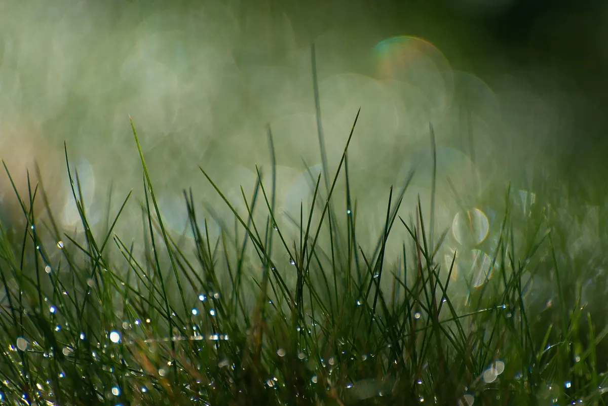 The Dew Point and Fog: A Beginner's Guide to Saturation