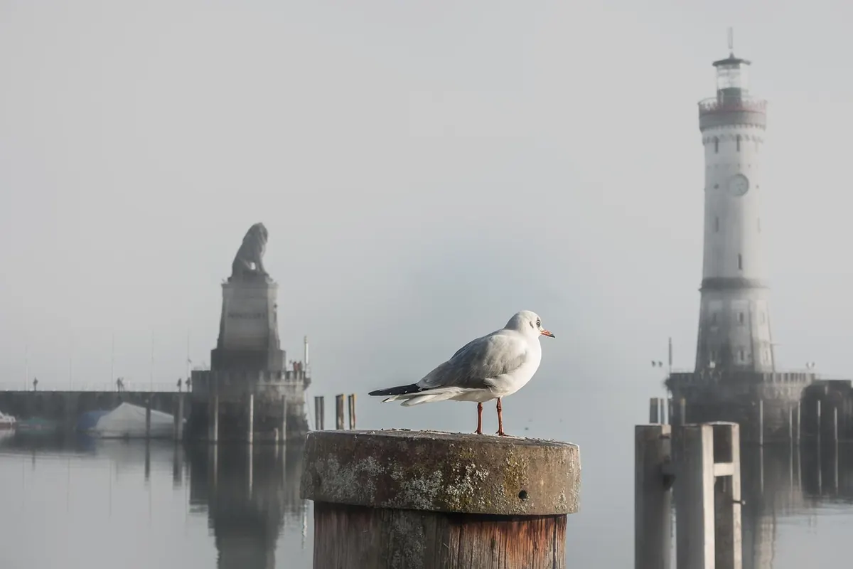 UK Coastal Fog Season: A Month-by-Month Checklist for Sea Mist